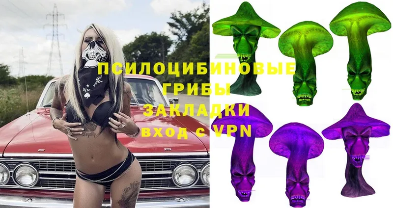 Псилоцибиновые грибы Magic Shrooms  Бийск 